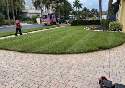 Lush landscape maintenance services in St. Pete Beach, Gulfport, and South Pasadena, FL!