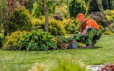 Landscape Maintenance: What Is It, And What Does It Do??